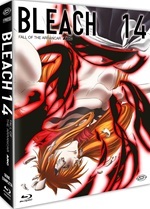 Bleach (First Press)